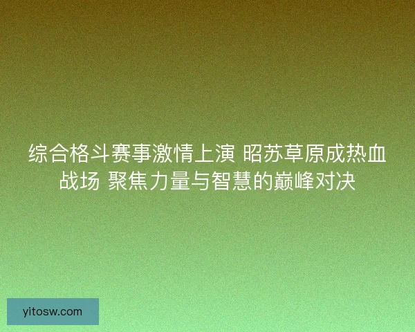 综合格斗赛事激情上演 昭苏草原成热血战场 聚焦力量与智慧的巅峰对决