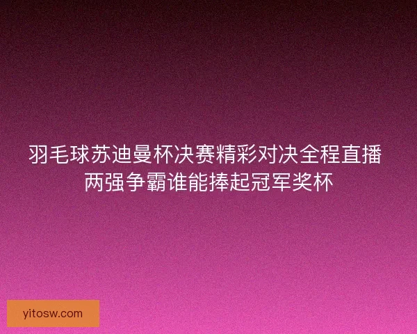 羽毛球苏迪曼杯决赛精彩对决全程直播 两强争霸谁能捧起冠军奖杯