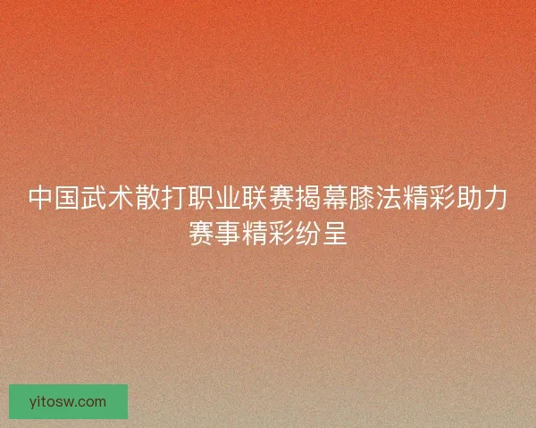 中国武术散打职业联赛揭幕膝法精彩助力赛事精彩纷呈